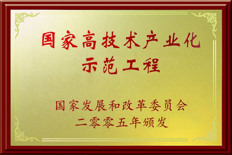国家高技术产业化示范工程