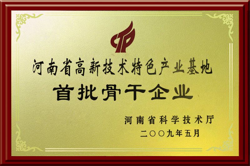 首批骨干企业